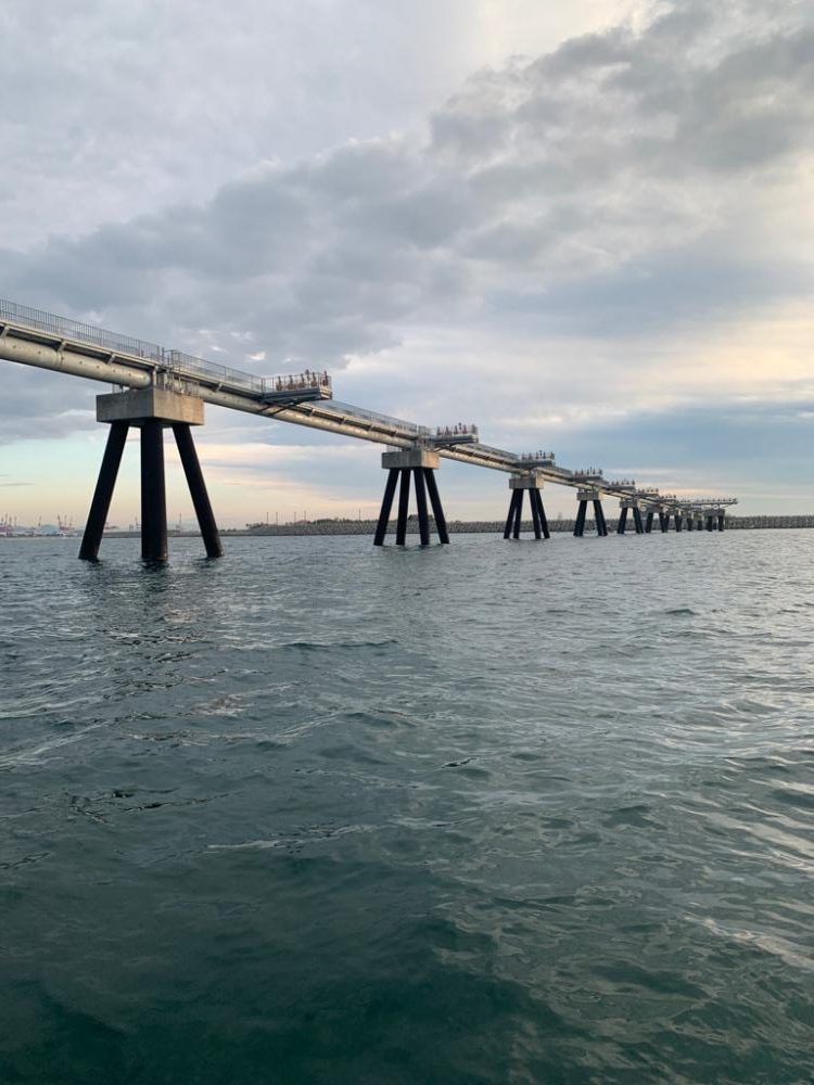 エソしか釣れん…