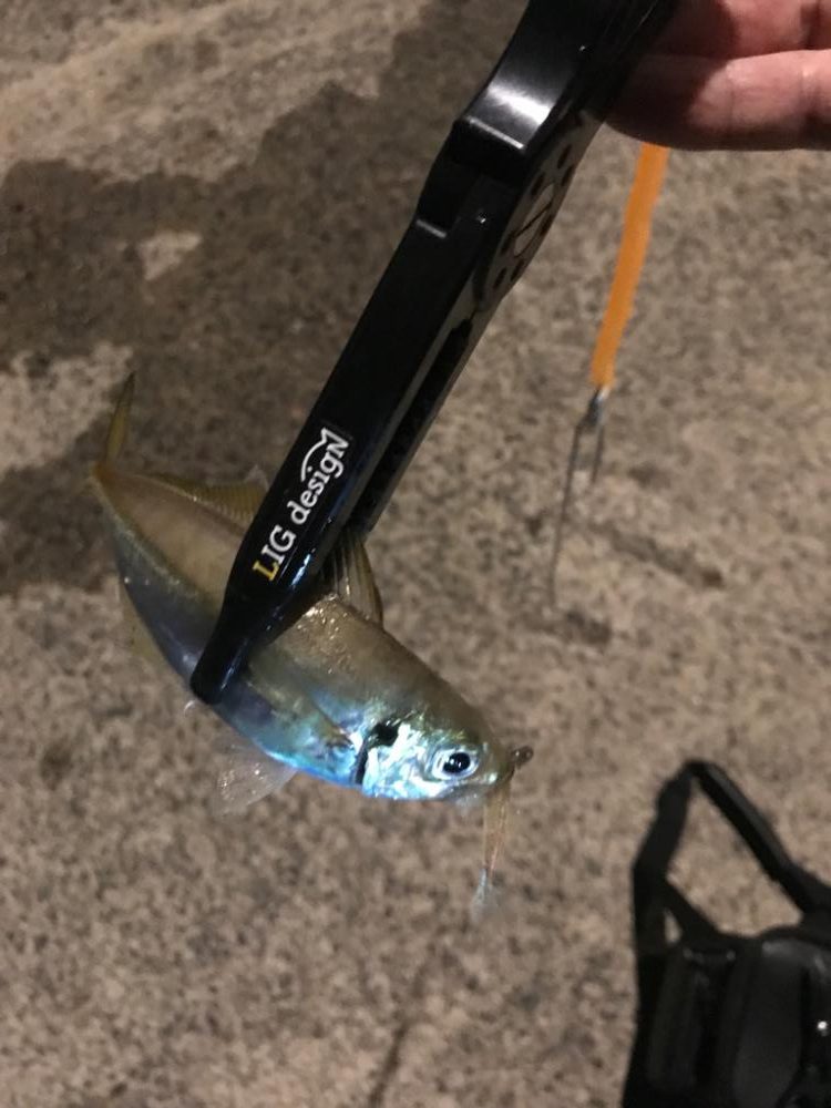 仕事終わりにPart2