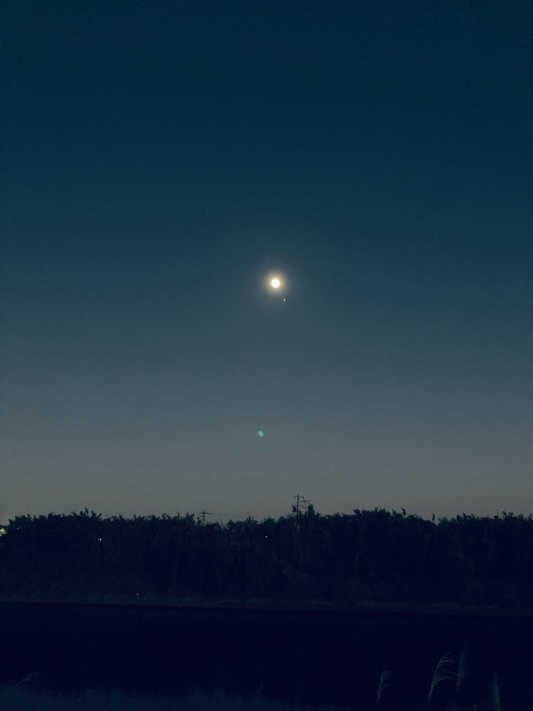 ルアフィッシング