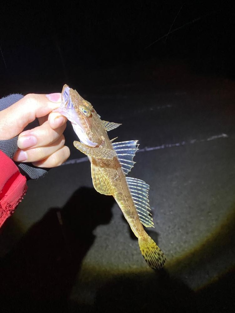 ばーすでーふぃっしんぐ🎂