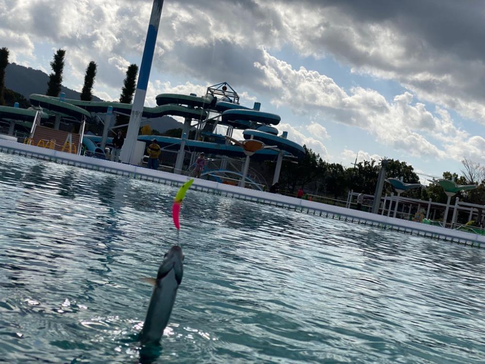 2023かめプーオープン