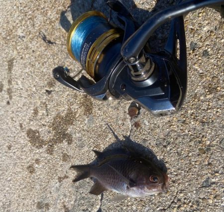 M:i:III ちょい投げシロギスタ