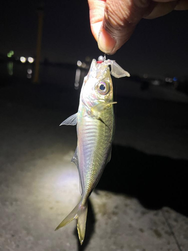 休日出勤からの