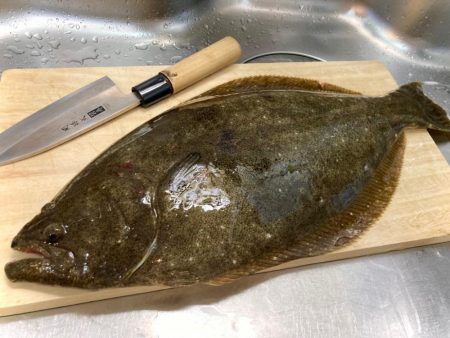 胴突き仕掛けでヒラメにゃ！