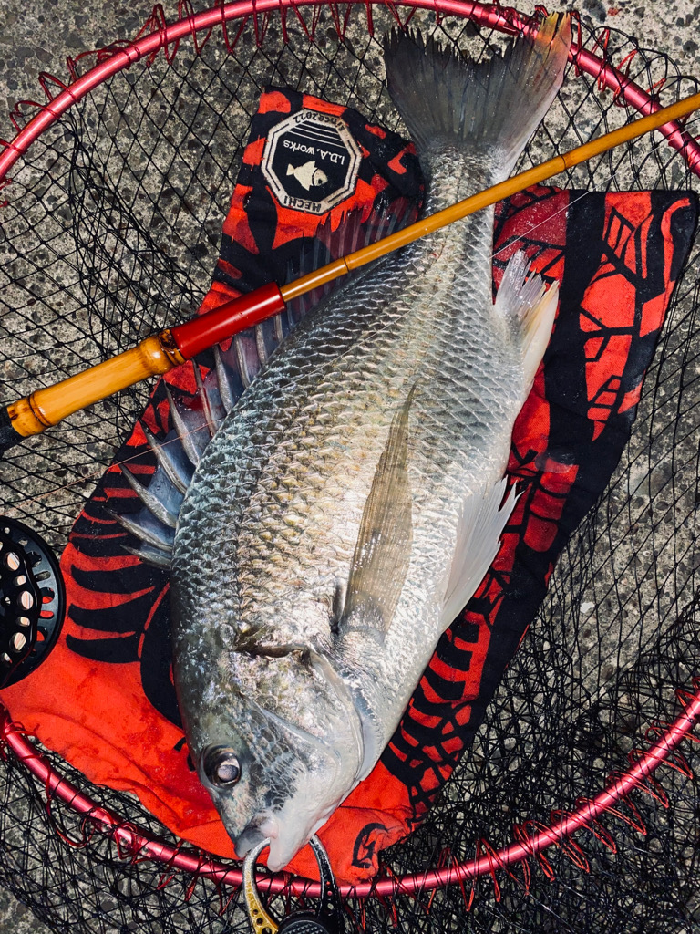 ヘチってきました