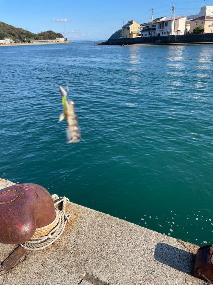 旅行先でライトゲーム