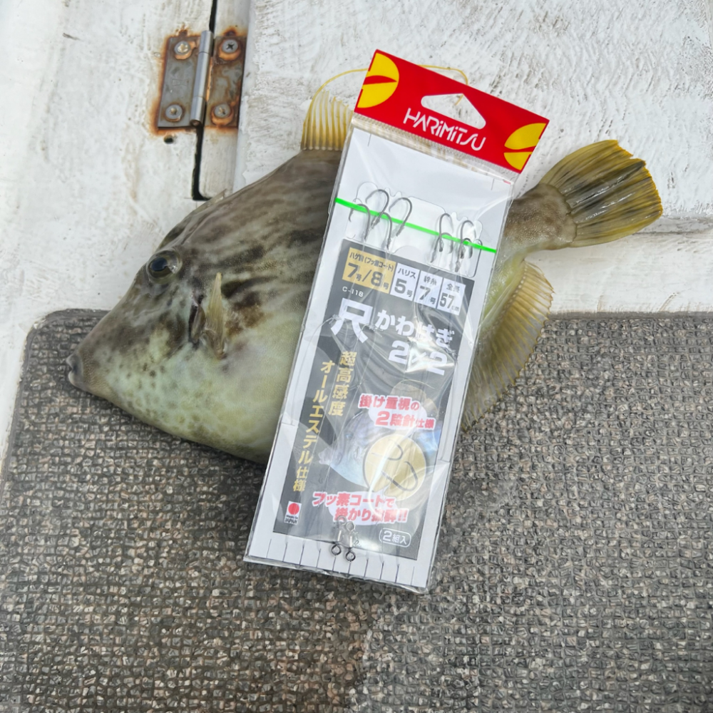 カワハギ/カワハギ仕掛け