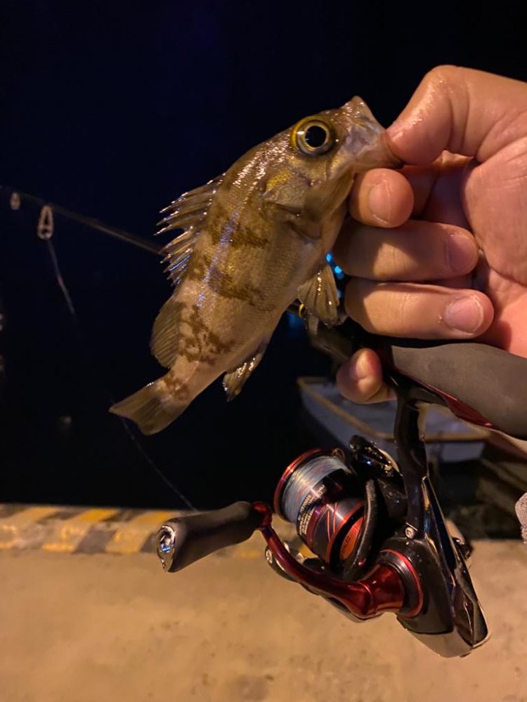 メバリング2023①