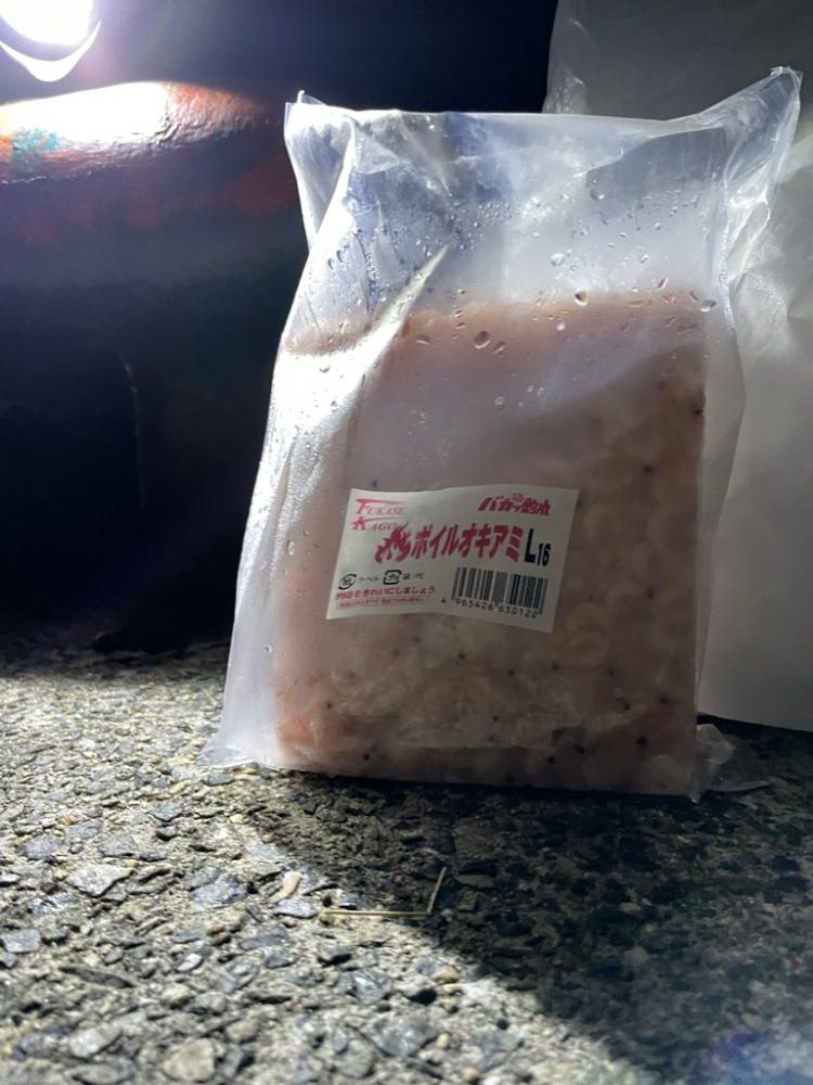 超初心者の釣り記録⭐︎