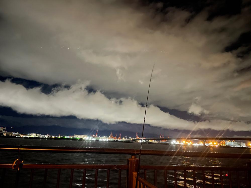 アジよく釣れてます