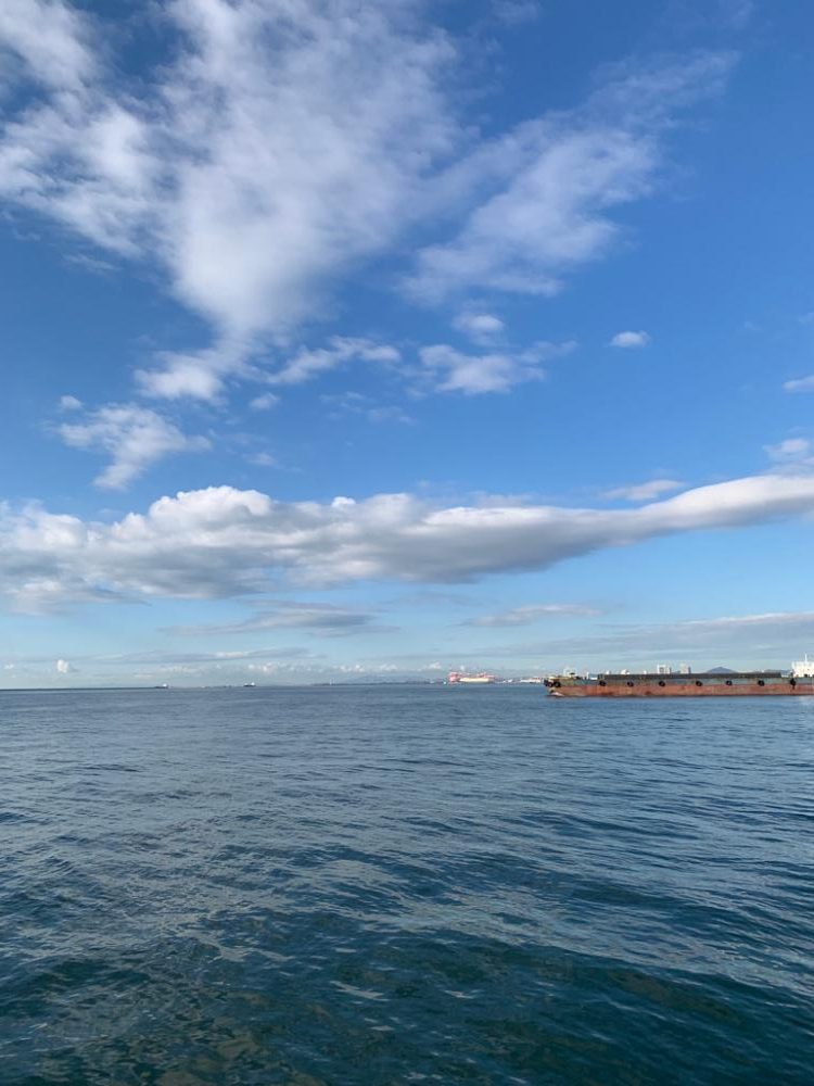 晩秋朝マヅメ釣行