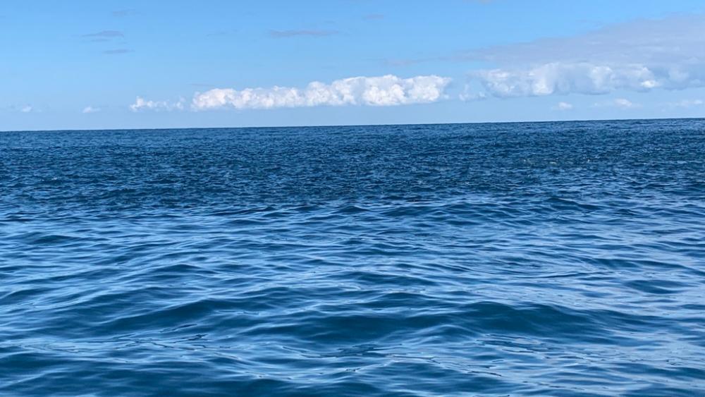 アマダイを求めてボート釣行