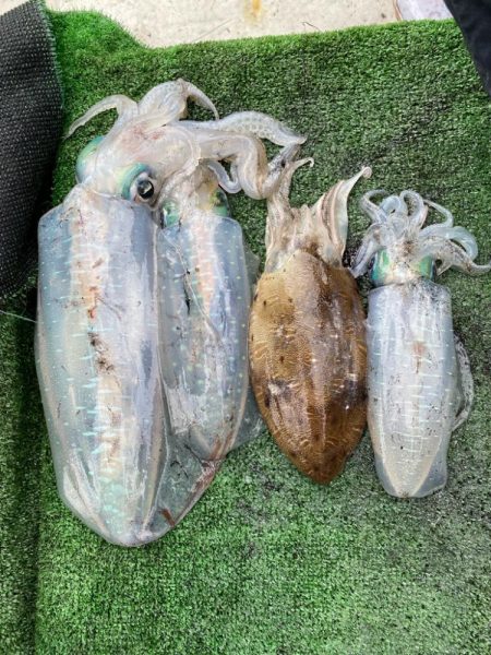 今シーズン初キロアップ