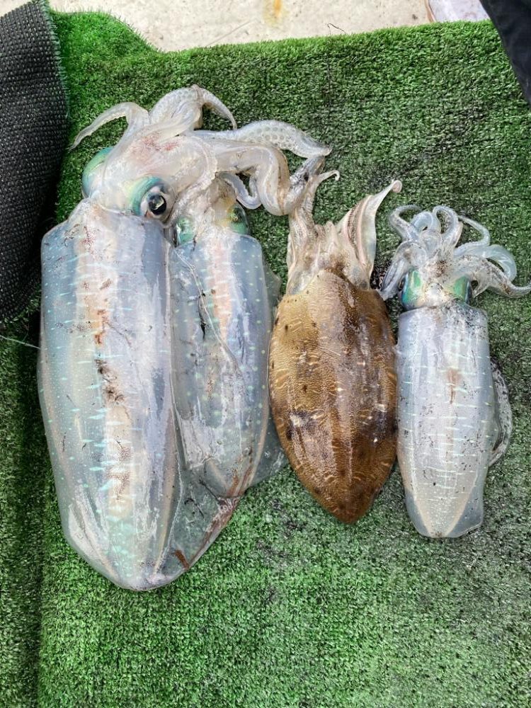 今シーズン初キロアップ