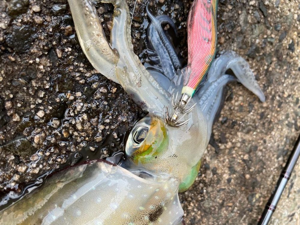 先頭打者初球ボームラン!