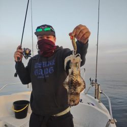 ラストティップラン