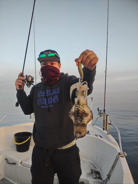 ラストティップラン