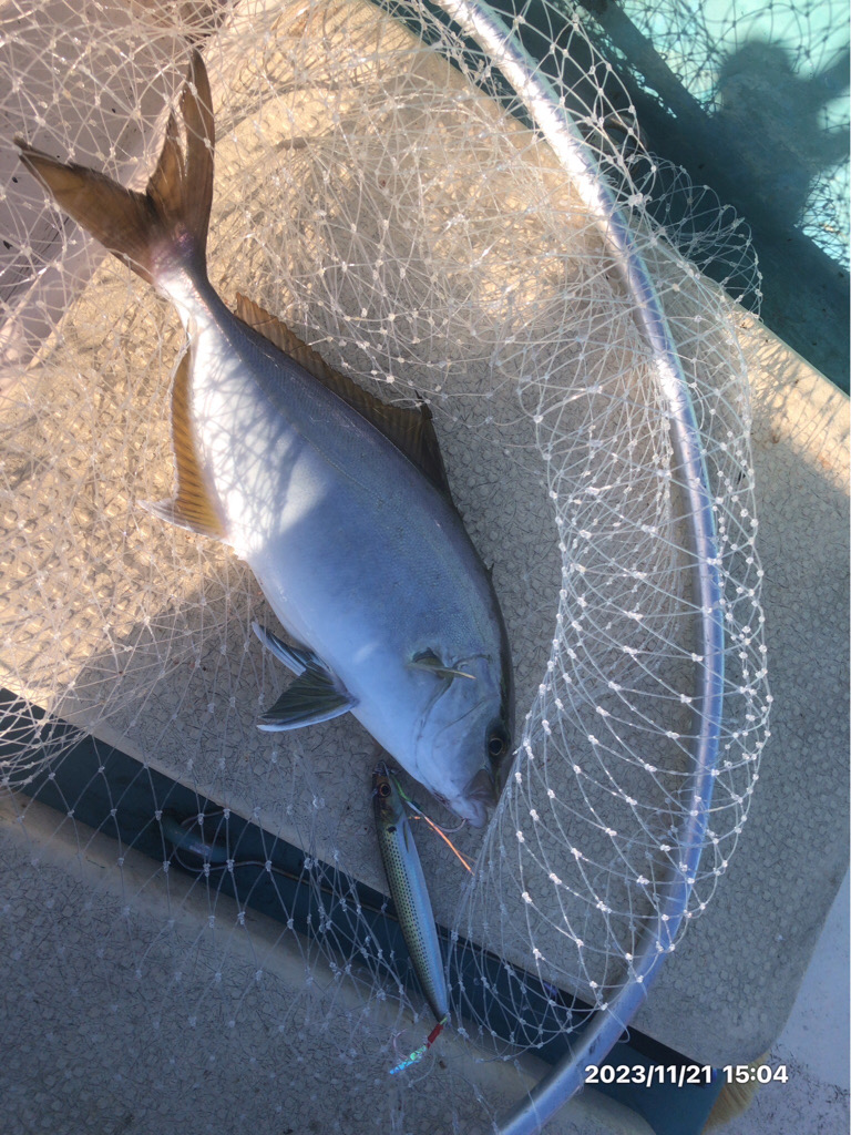 11/21 伊島沖ジギング