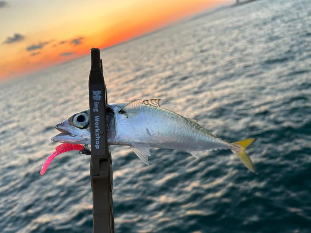 刀狩りに行ったのに・・・