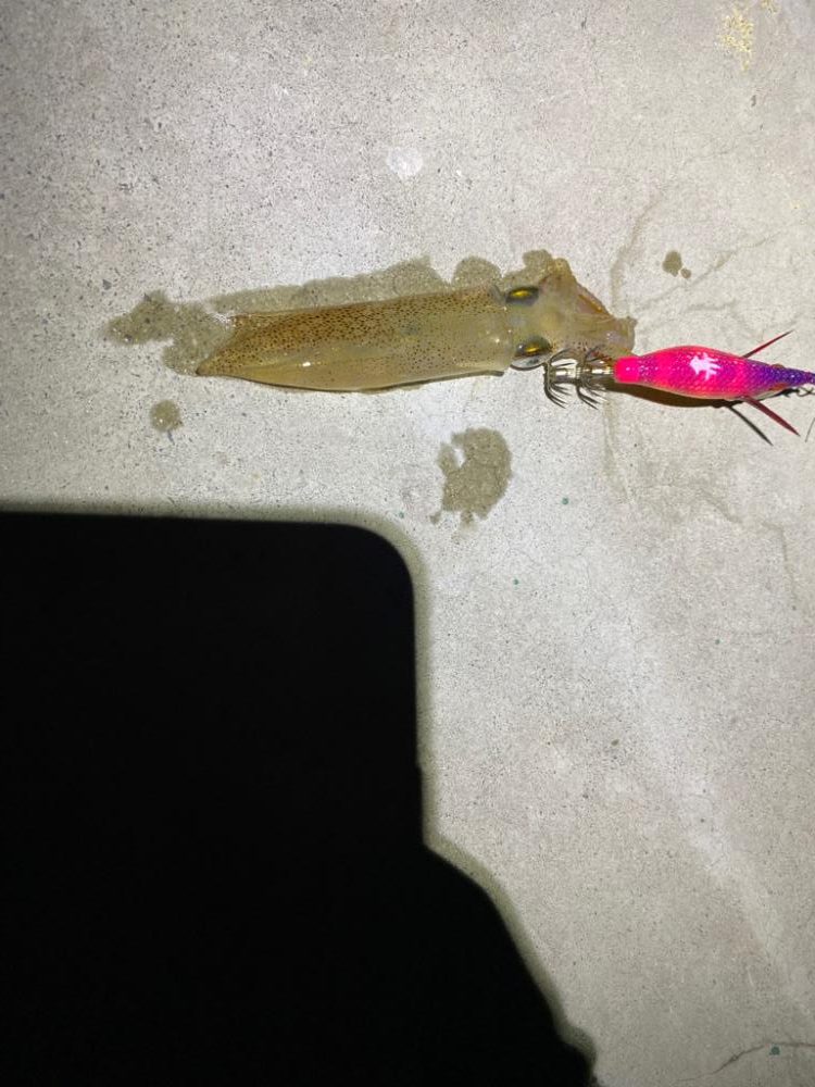 超絶爆風ライトゲーム