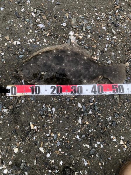 サーフでフラット狙い