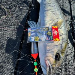 WESTMARINE杯inカタタの釣堀で優勝