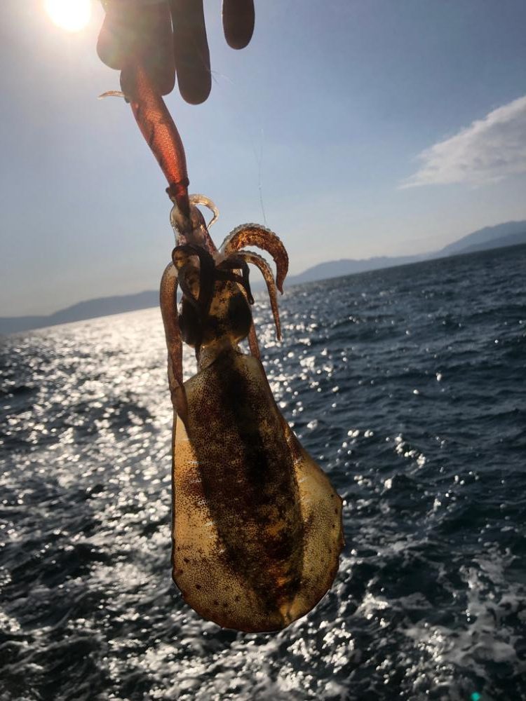 大潮に誘われて