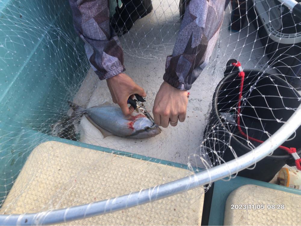 11/5 伊島沖ジギング