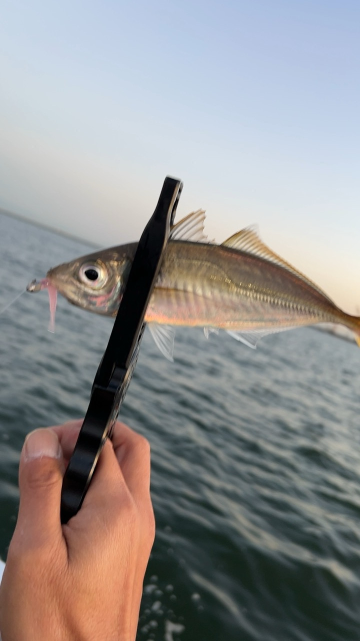 デイアジング♪