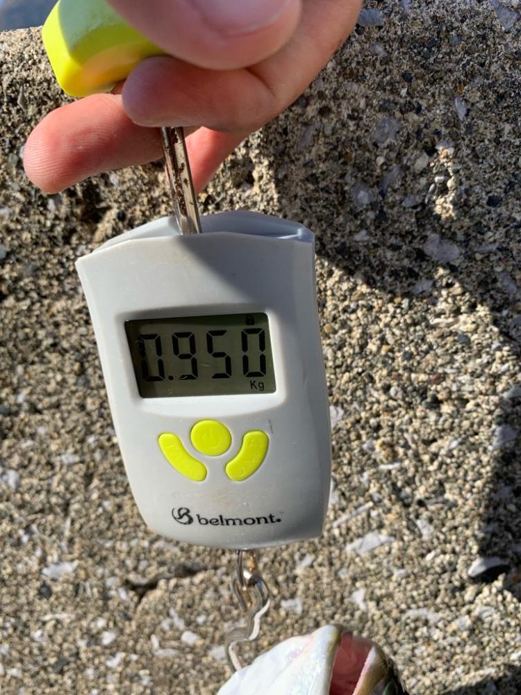 ショアジギング