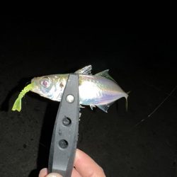 仕事帰りにいつもの