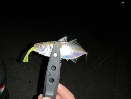 仕事帰りにいつもの