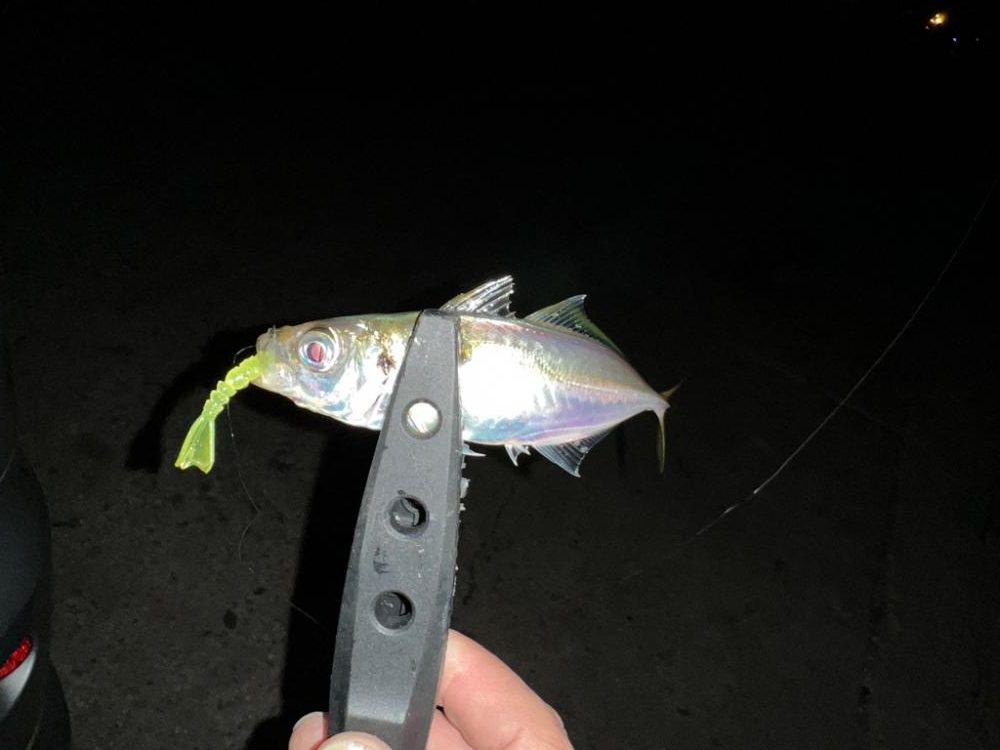 仕事帰りにいつもの