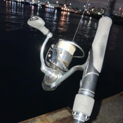 えっ俺だけこのサイズか?