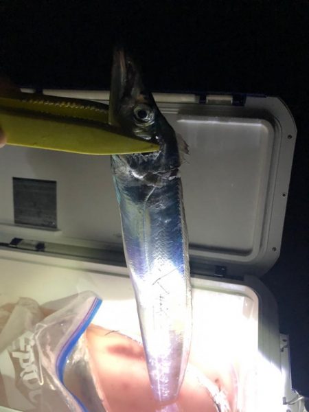 デカ太刀しかおらん