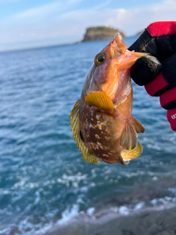 地磯でショアジギング