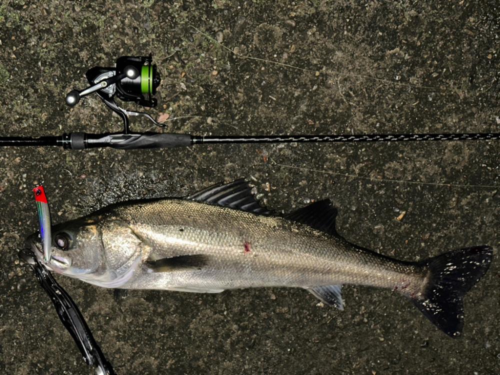 秋のドリフトは正義!