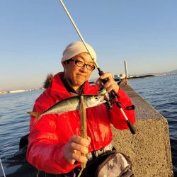 アジングでデカあじ狙い in 関電波止