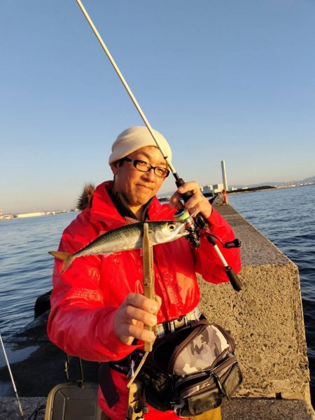 アジングでデカあじ狙い in 関電波止