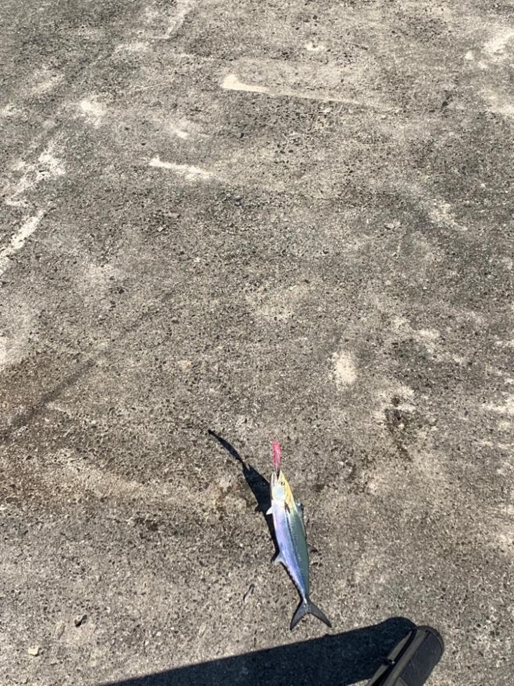 武庫一沖堤防釣行