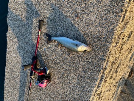 超短時間ライトゲーム・初場所