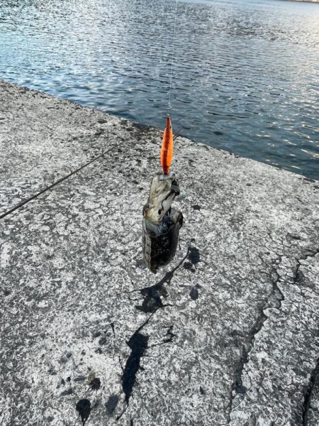 周防大島二日目