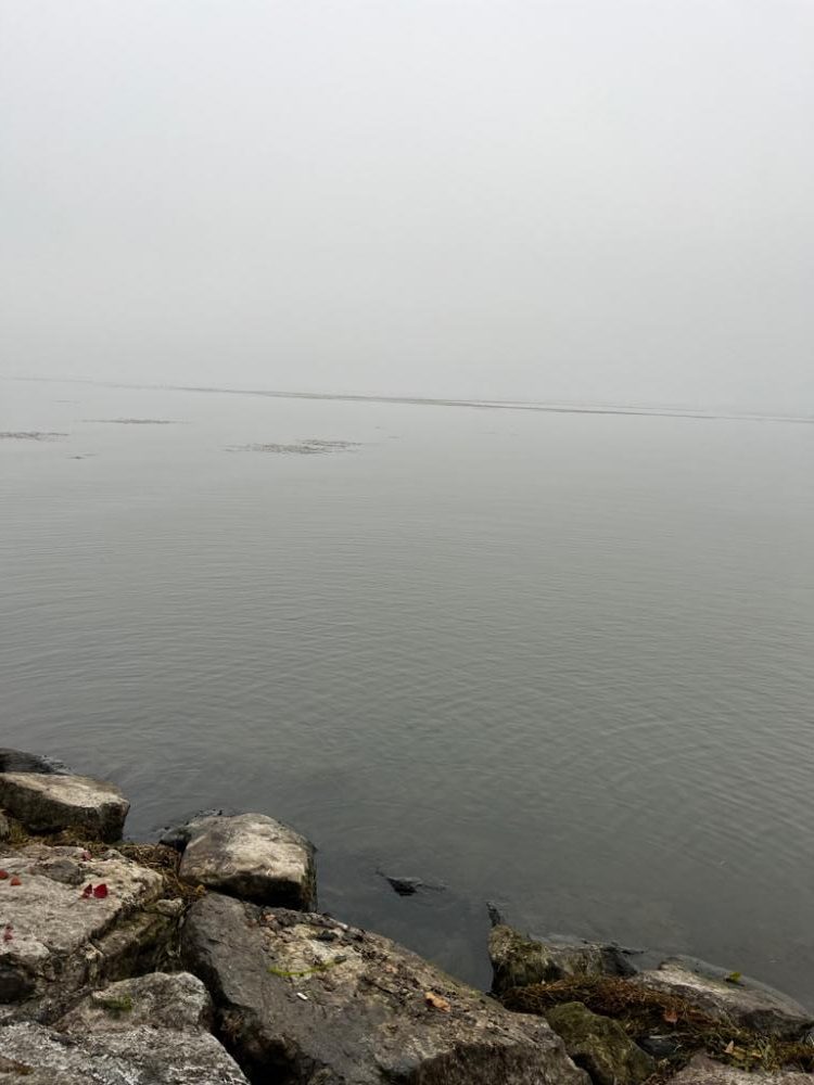 琵琶湖、朝の散歩