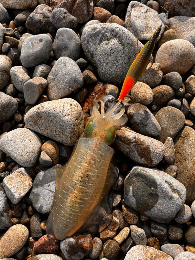 まだいけるぅ！