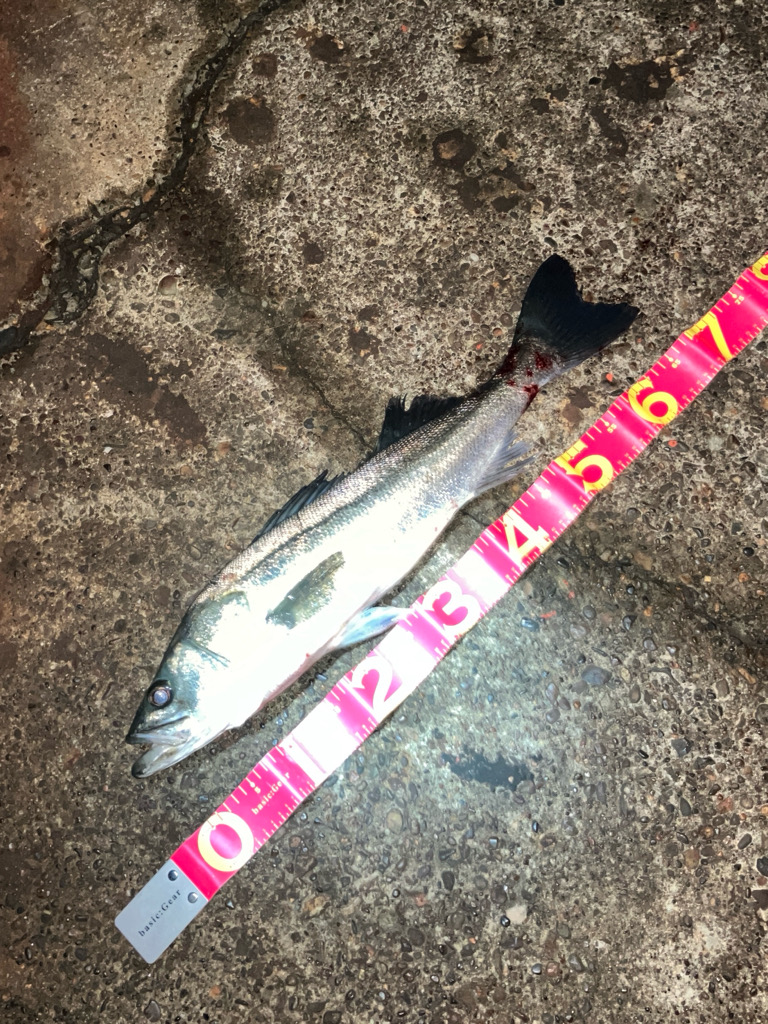 30分でツーキャッチ