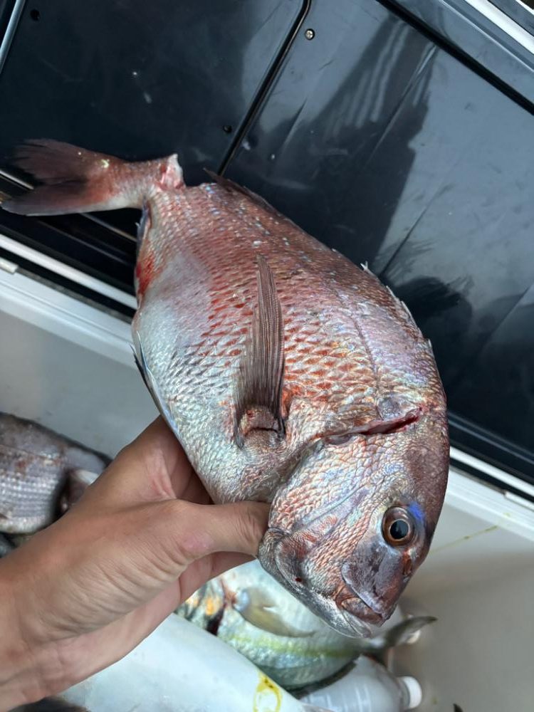 美浜フィッシングパーク