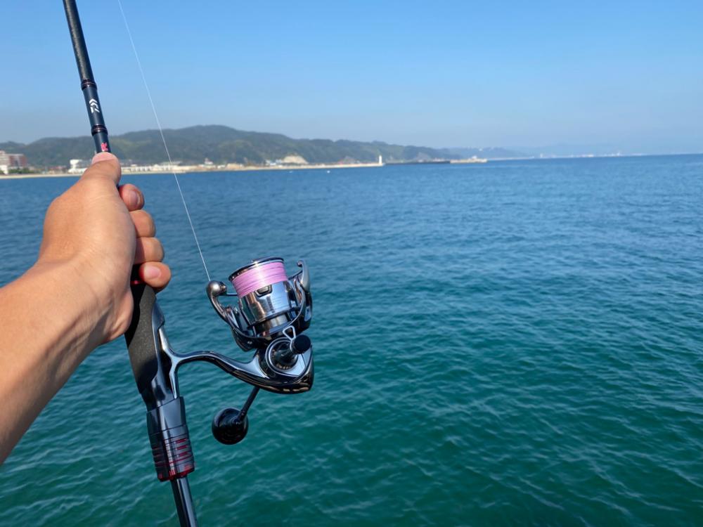 淡路島エギング