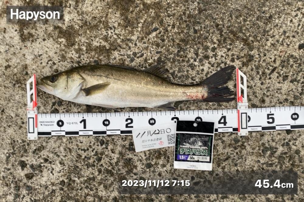 先日から冷え込み