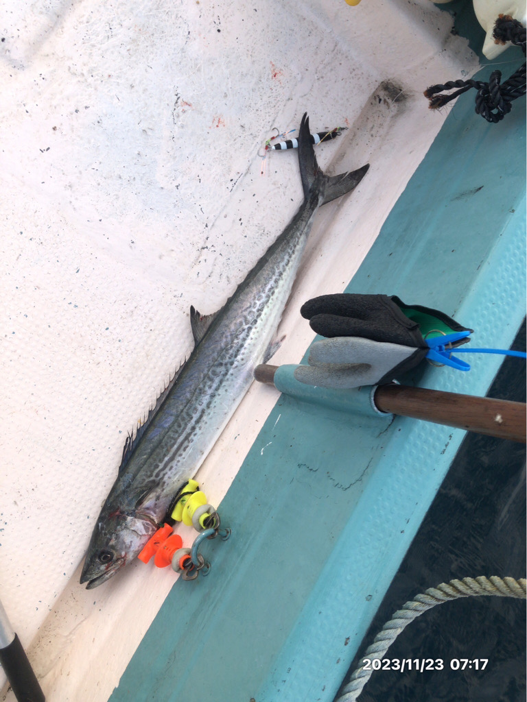 11/23 伊島沖ジギングタイラバ