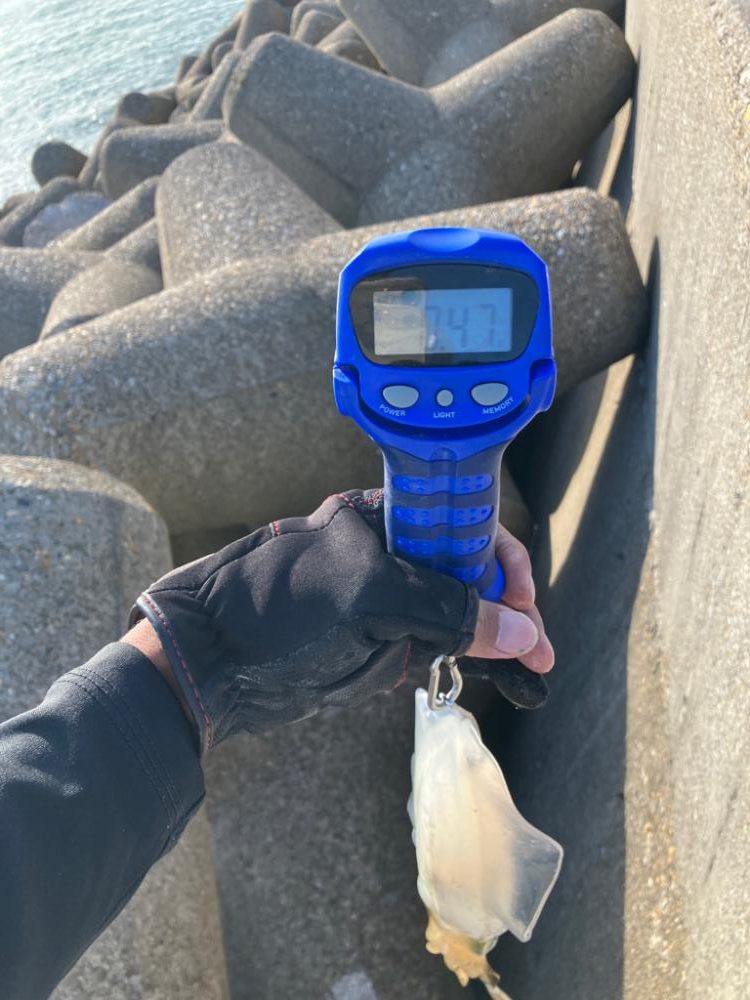 デイエギング　サイズも中々(^｡^)